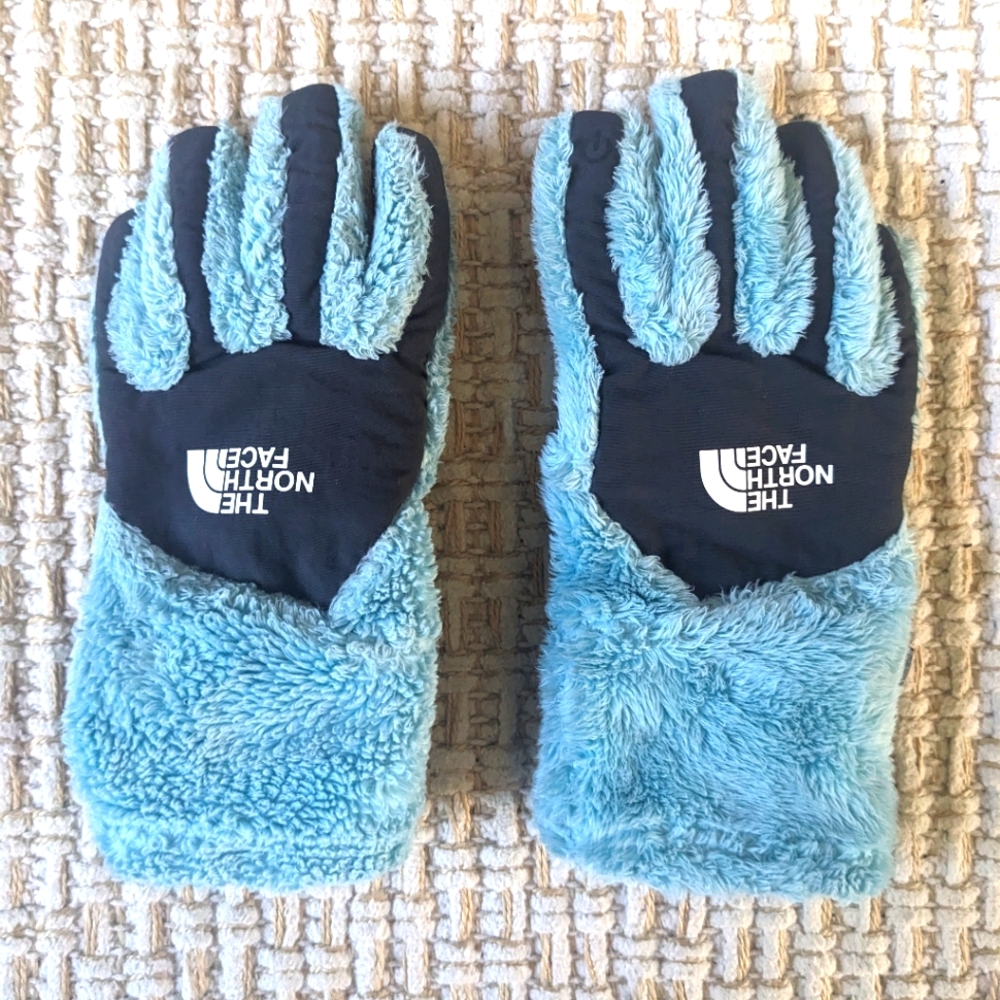 The North Face Gloves